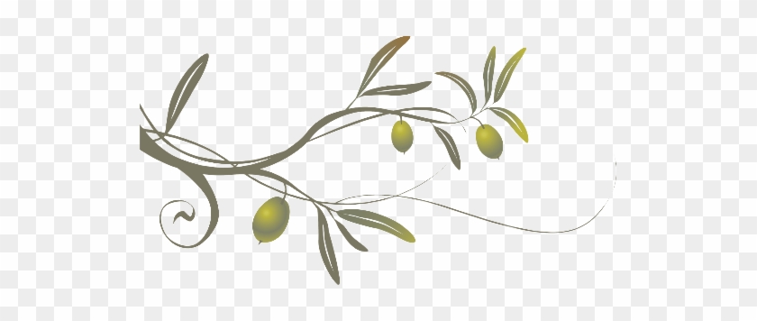 Olive Tree Branch - Olive Tree Branch Png #1412336