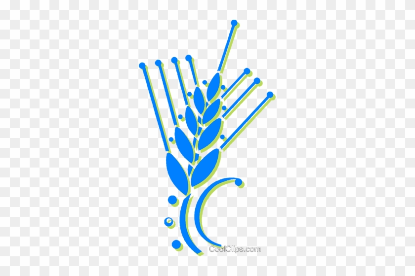 Unprocessed Grain Royalty Free Vector Clip Art Illustration - Plant Stem #1412487