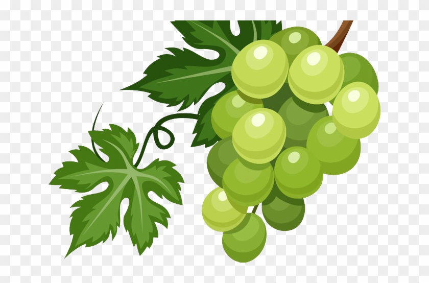 Raisins Verts / Lb - Uvas Verdes Animadas - Free Transparent PNG Clipart Images Download Raisins Verts / Lb - Uvas Verdes Animadas - Free Transparent PNG Clipart Images Download