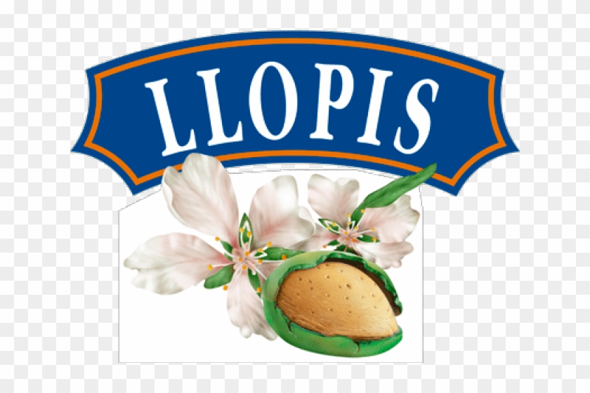 Llopis, Sponsor Of Inc World Nut And Dried Fruit Congress - Almendras Llopis Logo #1412550