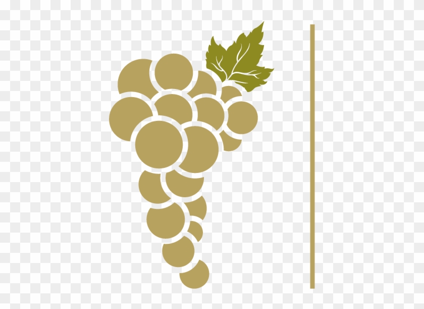 Grape #1412555