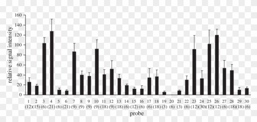 Relative Signal Intensities Of Each Probe With Its - Skyline #1412808