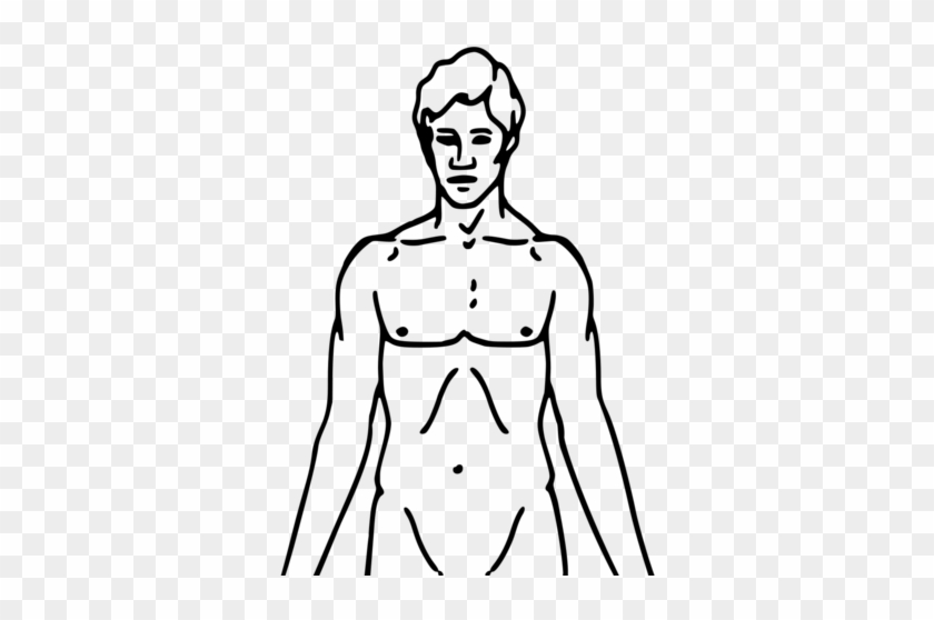 Filepioneer Plaque Man Upper Body As Diagram Template - Chemical Basis Of Love #1413288