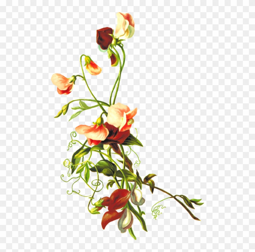 All Photo Png Clipart - Flowers And Leaves Png #1413440