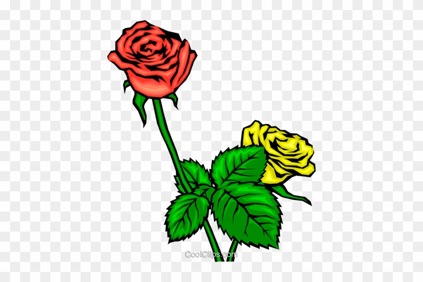 Red And Yellow Roses Royalty Free Vector Clip Art Illustration - Clip Art #1413447