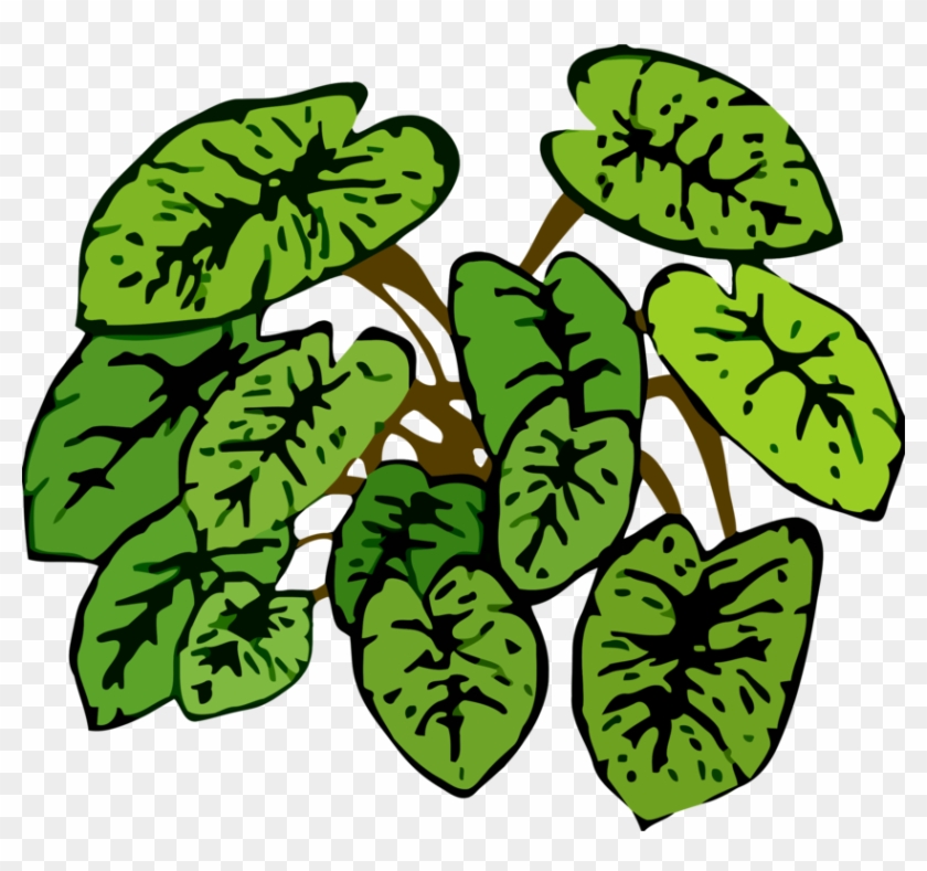 Leaf Plants Plant Stem How To Grow Herbs Botany - Clip Art #1413549