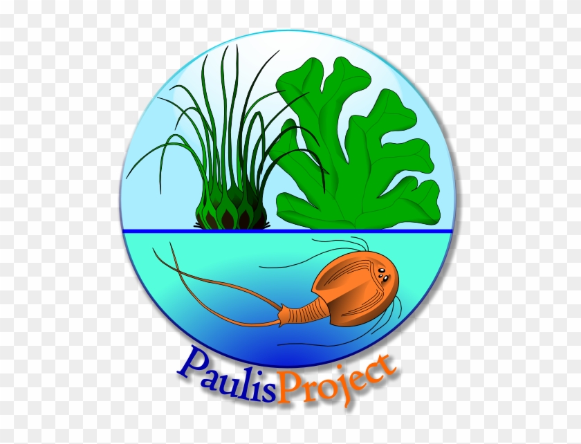 Bylaws - Ph - D - Theses - Links - Bylaws - Ph - D - Theses - Links #1413621