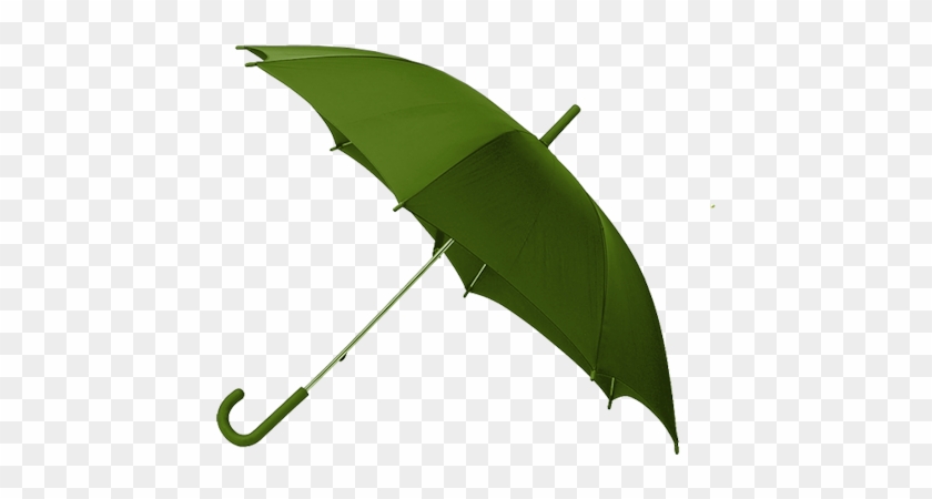 Love This Green Umbrella - Оранжевый Зонт #1413768