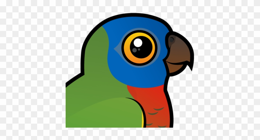 Also Known As - Amazona Versicolor Clip Art #1413975