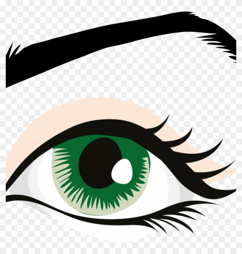 Human Eye Clip Art Human Eye Eyebrow Eyelid Organ Free - Eye With Eyebrow Clipart #1414241