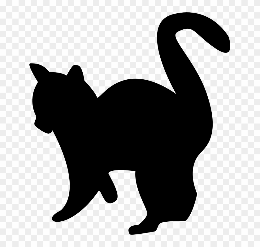 Kitten Clipart Catblack - Gato Preto E Branco Png #1414314