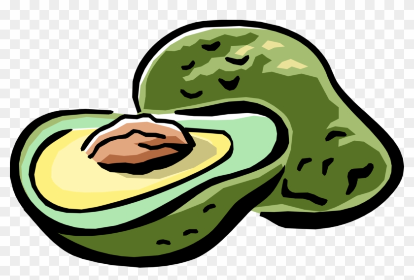 Avocado - Farms #1414719