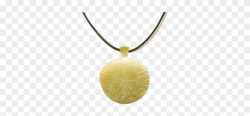 Golden Shell - Gold - Free Transparent PNG Clipart Images Download