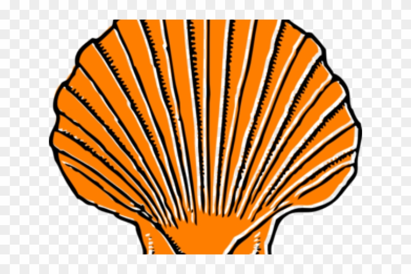 Shell Clipart Orange - Large Sea Shell Clipart #1414988