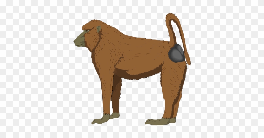 Other Popular Clip Arts - Baboon Clipart Png #1415503