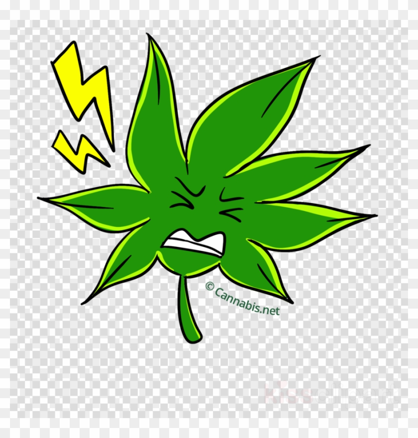 Hemp Clipart Skunk Cannabis Sativa Leaf - Hemp #1415520