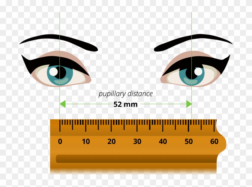 Pupilary-distance - Gentell's Eyes By Delsea Flowers #1415579
