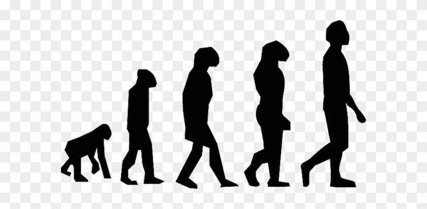 How Can You Evolve To Meet The Challenges Of A New - More Letters Of Charles Darwin [book] #1415745