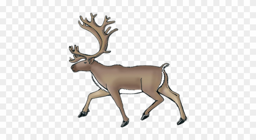Raindeer Drawing Elk Clipart Transparent Download - Symbols Of Newfoundland And Labrador #1415857