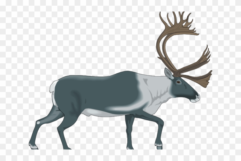 Moose Clipart Cup - Caribou Logos #1415861