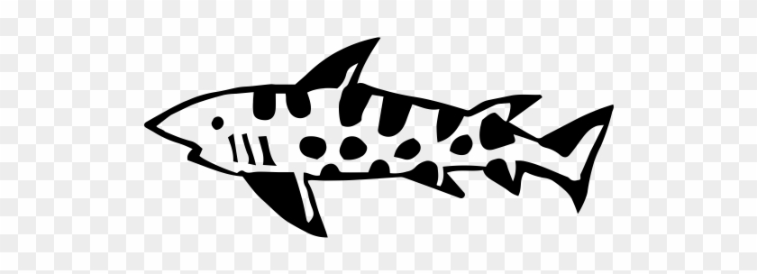 Leopard Shark #1416121