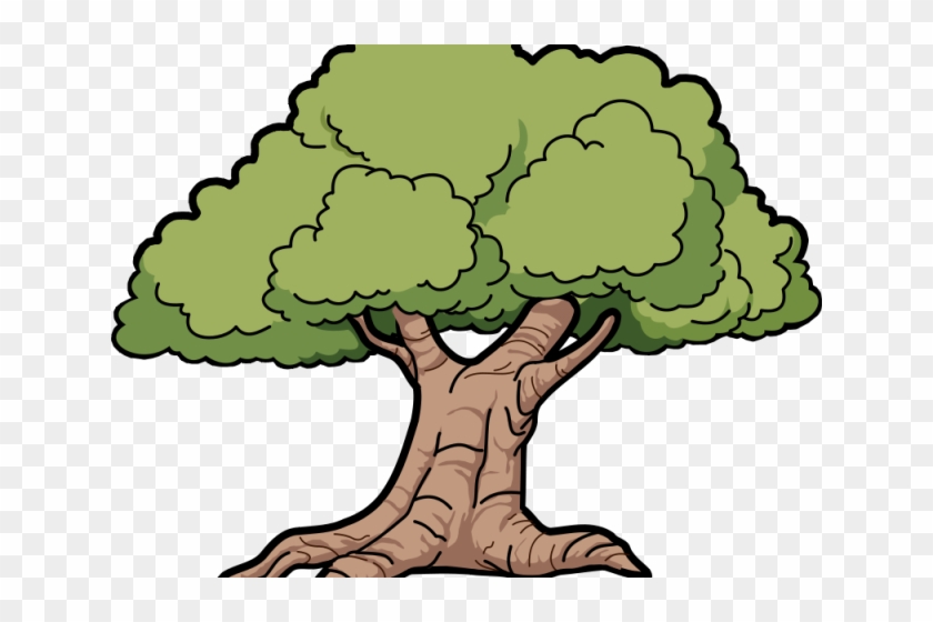 Avocado Clipart Large - Oak Tree Clipart Png #1416172