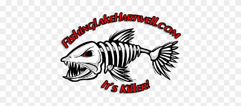 Joe Dino - Sticker Fish Skeleton Bones Car Window Truck Notebook #1416792