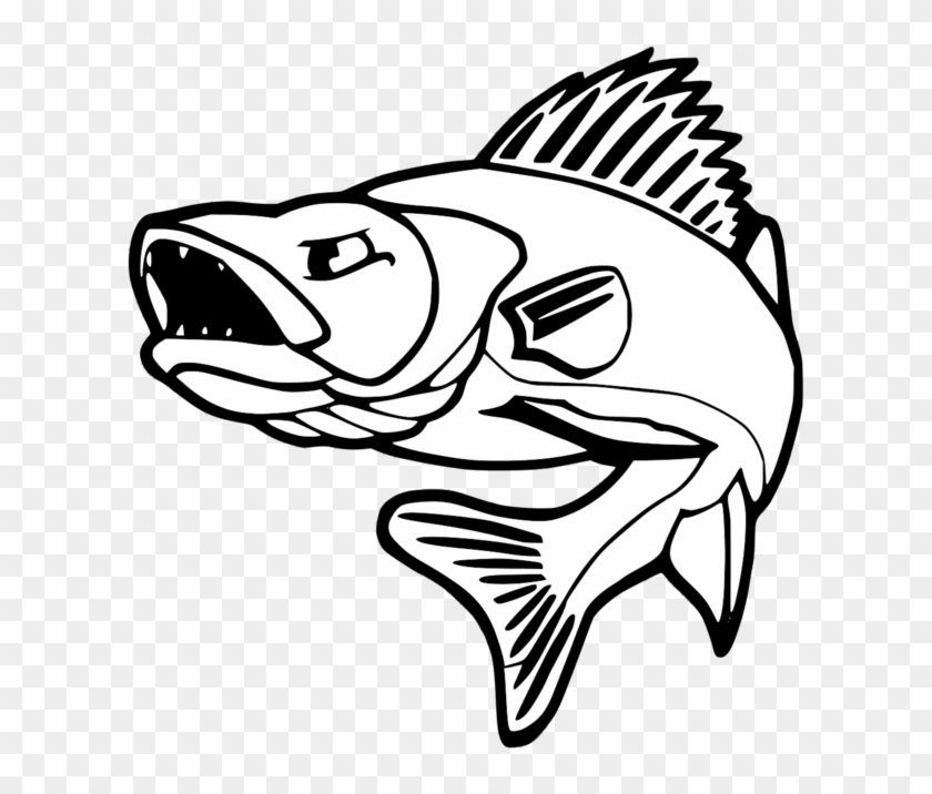 Drawing At Getdrawings Com Clip Art Freeuse Stock - Walleye Fishing #1416811