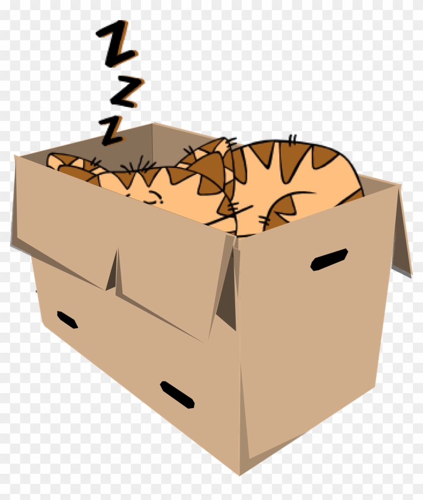 Cat Box Sleep - Cartoon Cat #1417070