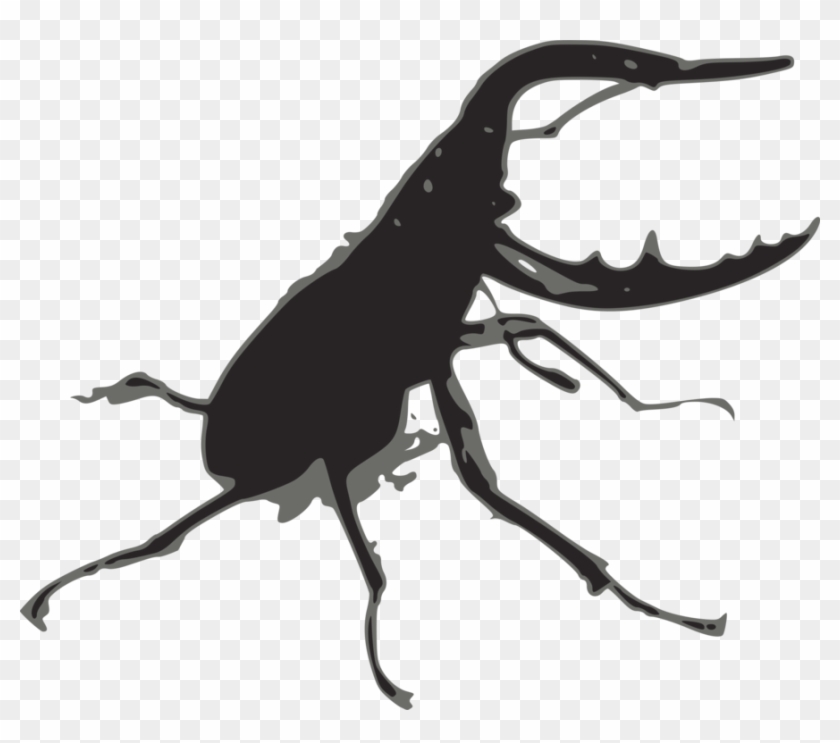 All Photo Png Clipart - Stag Beetle Png #1417084