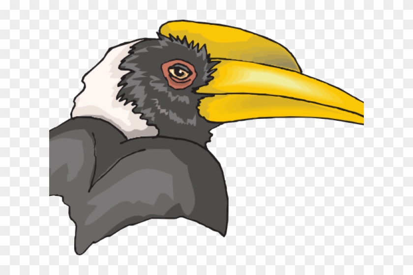 Hornbill Clipart Rhinoceros Hornbill - Hornbill Bird Hornbill Clip Art #1417156