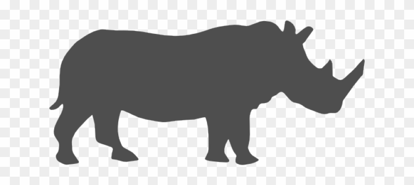 Love Rhinos #1417158