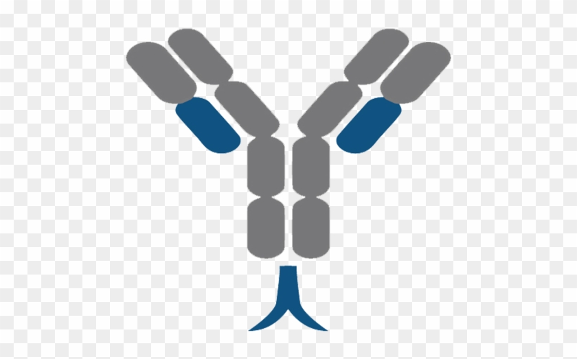 Venomyx - B-cell Receptor #1417235