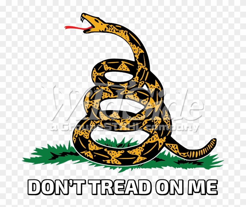 Don't Tread On Me With Snake - Don T Tread On Me #1417237