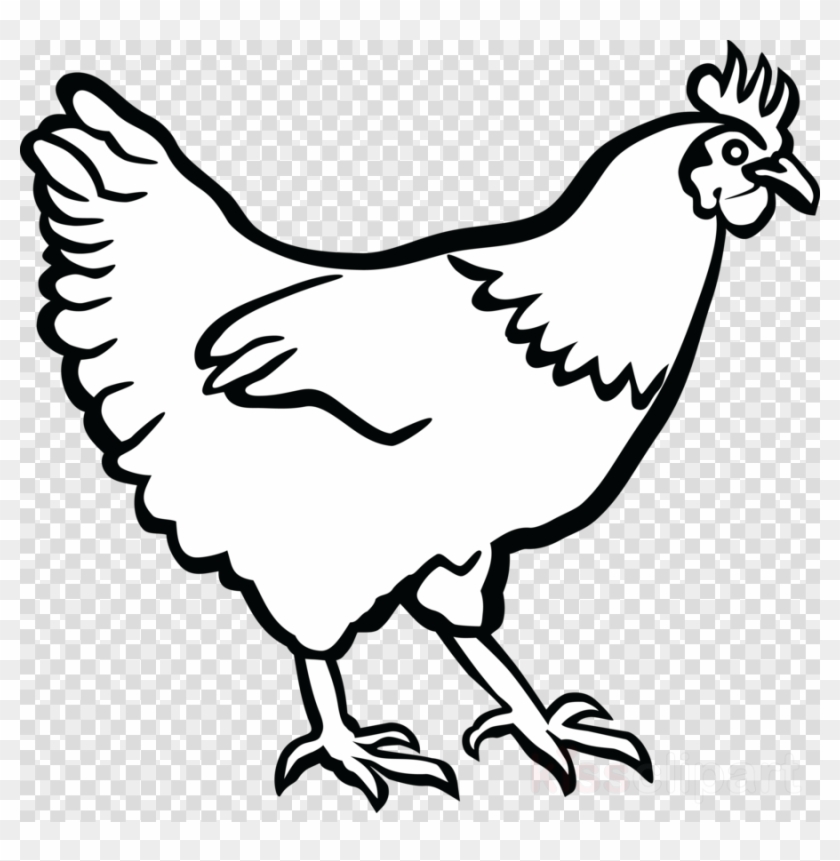 Download Hen Clip Art Clipart Cochin Chicken Leghorn - Hen Clipart Black And White #1417329