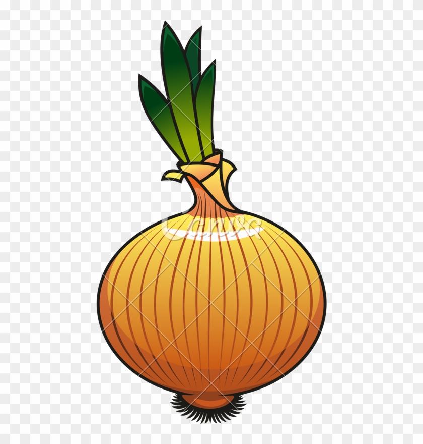 Onion Icon Design - Vegetable #1417796