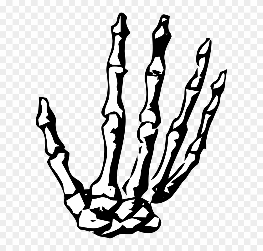 Bone Hands Png - Manos Esqueleto Png #1417813