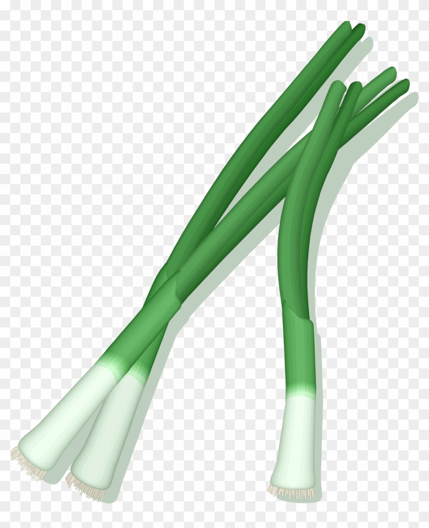 Green Onions Png - Green Onion Vector Png #1417824