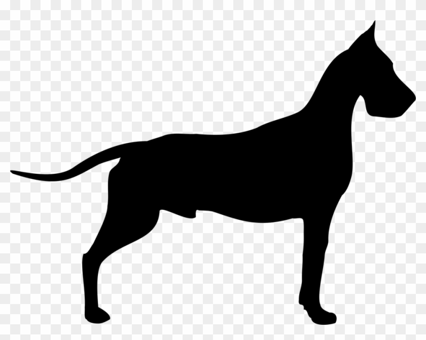 Dane, Dog, Doggy, Breed, Snout, Animal, Coat, Clip - Great Dane Vector Png #1417858