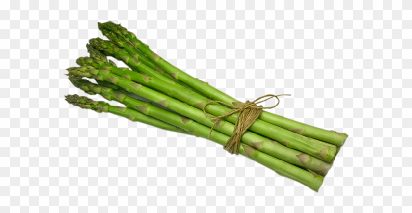 Single Clipart Asparagus - Single Asparagus Png #1417863