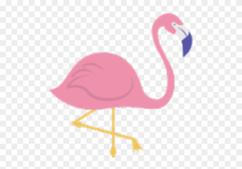 Insurance Law - Its A Girl Flamingo #1418089