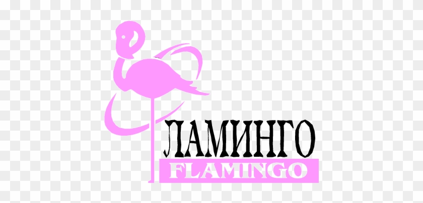 해당사항 없음 - Flamingo #1418091