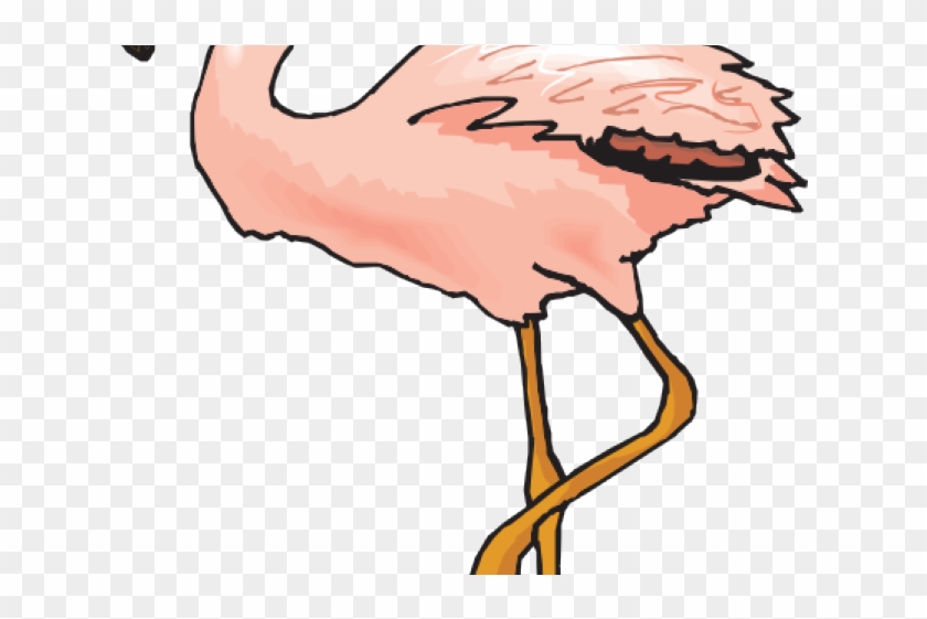 Flamingo Clipart Clip Art - Flamingo Clipart #1418118
