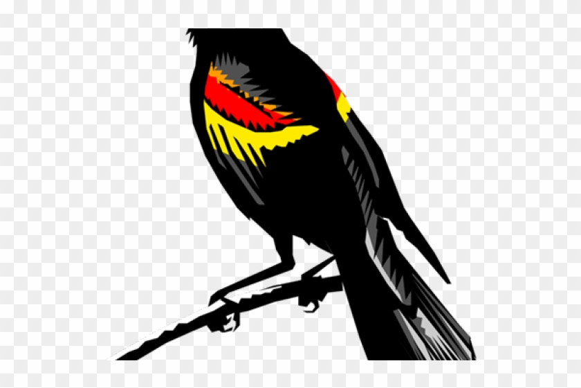 Blackbird Clipart Clip Art - 喜鹊 图片 #1418388
