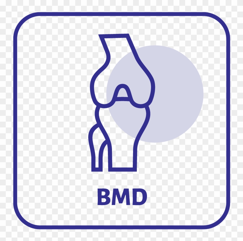 Bone Mineral Densitometry Or Dexa Imaging Uses Very - Densitometry #1418506