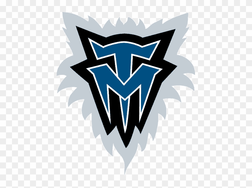 Minnesota Timberwolves Logo Png Transparent Images - Alternate Minnesota Timberwolves Logo #1418775