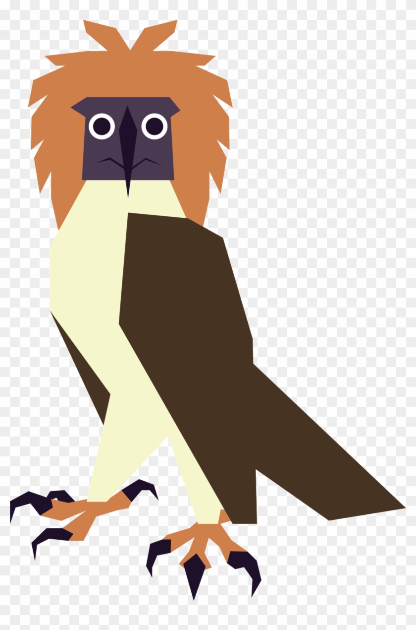 Anyone Else See How Silly Philippine Eagles Look Sometimes - Accipitriformes #1418873