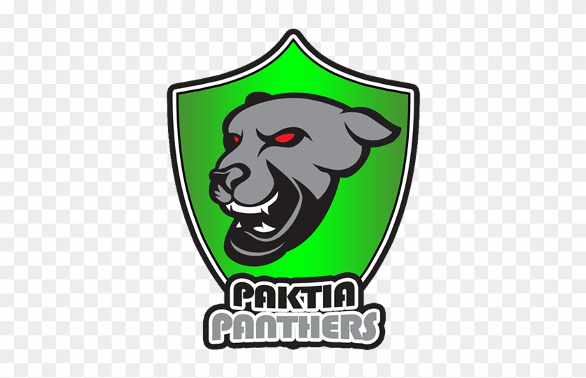 20th Match , Afghanistan Premier League At Sharjah, - Kabul Zwanan Vs Paktia Panthers #1419028