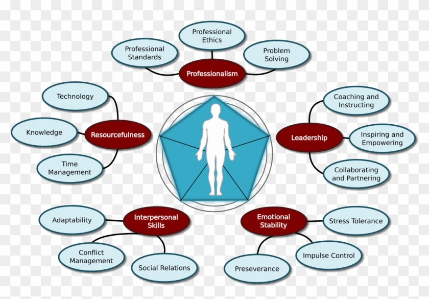 Banner Cfi Factorsanddimensions - Diagram #1419119