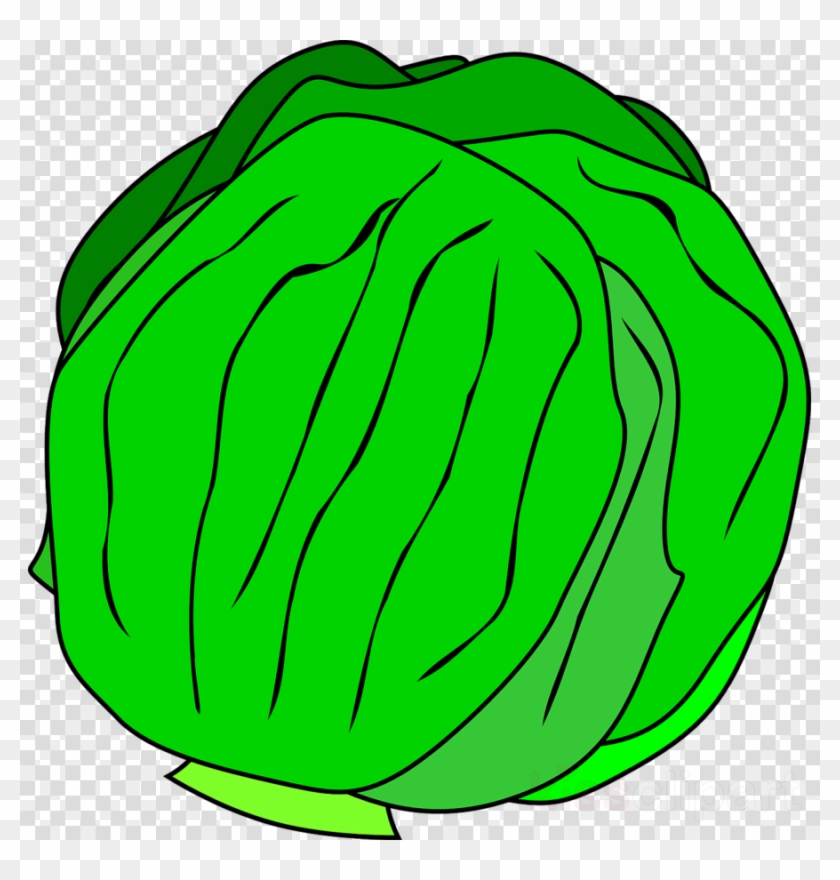 Lettuce Clipart #1419602